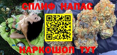 сатива Кулебаки