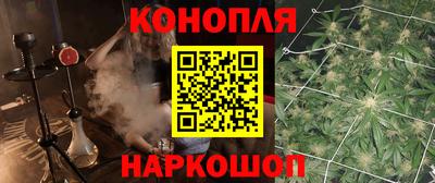 сатива Кулебаки