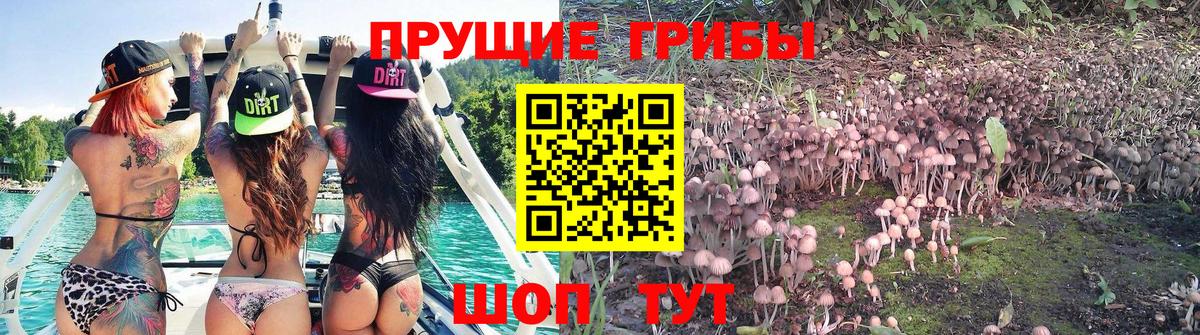 Галлюциногенные грибы MAGIC MUSHROOMS Бирск