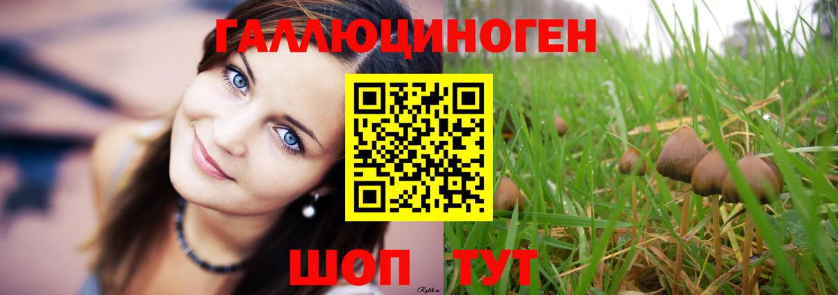 Псилоцибиновые грибы Psilocybine cubensis  Вход с VPN  Бирск 